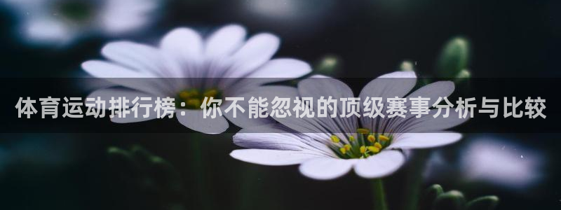 雷速分析师佳意照片：体育运动排行榜：你不能忽视的顶级赛事分析与比较