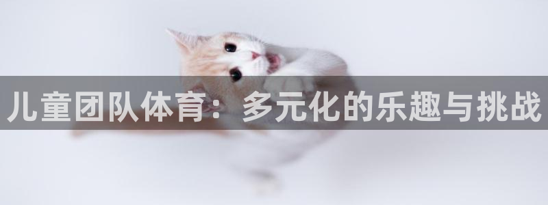 雷速ios版本怎么下载：儿童团队体育：多元化的乐趣与挑战