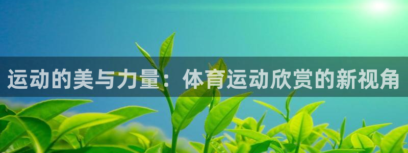 足球雷速体育：运动的美与力量：体育运动欣赏的新视角