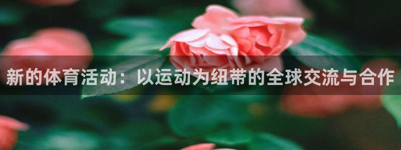 雷速会员：新的体育活动：以运动为纽带的全球交流与合作