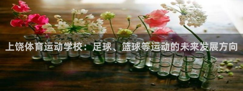 雷速棋牌点进.qidong.香港：上饶体育运动学校：足球、篮球等运动的未来发展方向