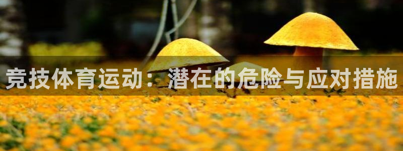 雷速清理软件：竞技体育运动：潜在的危险与应对措施