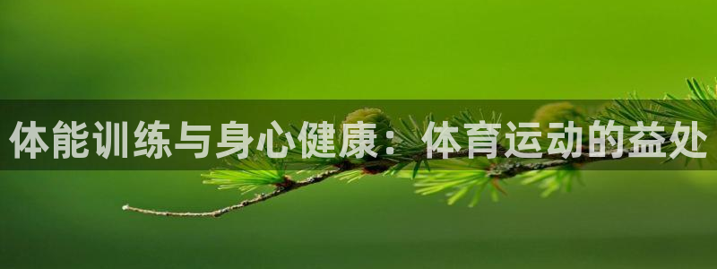 雷速官网比分：体能训练与身心健康：体育运动的益处